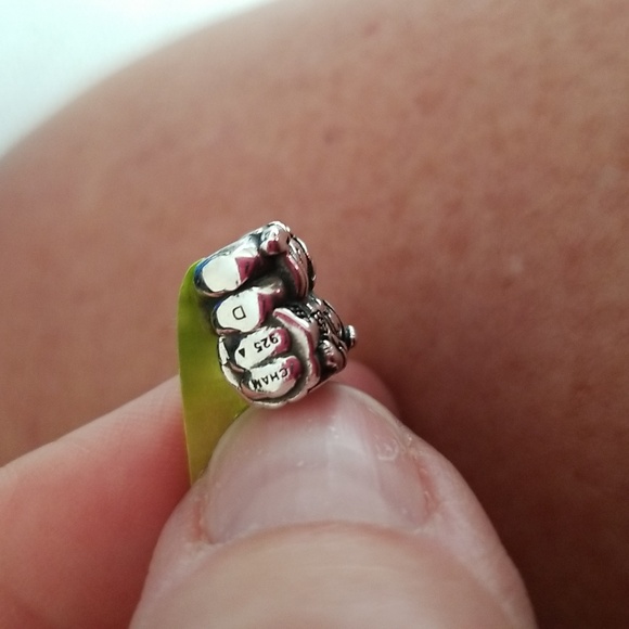 Retired Chamilia brother sister charm - Picture 11 of 11